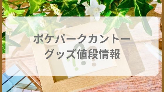 ポケパークカントー　グッズ　値段　整理券なし　通販　オンライン　高い