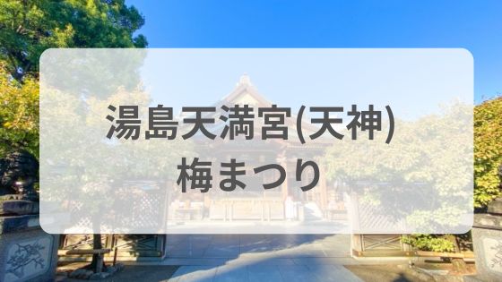 湯島天神　湯島天満宮　梅まつり　屋台　ライトアップ　特別御朱印